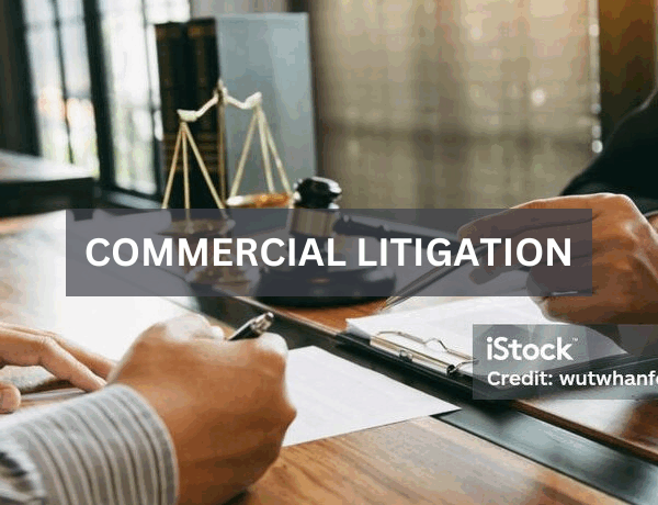 commercial-litigation commercial-litigation